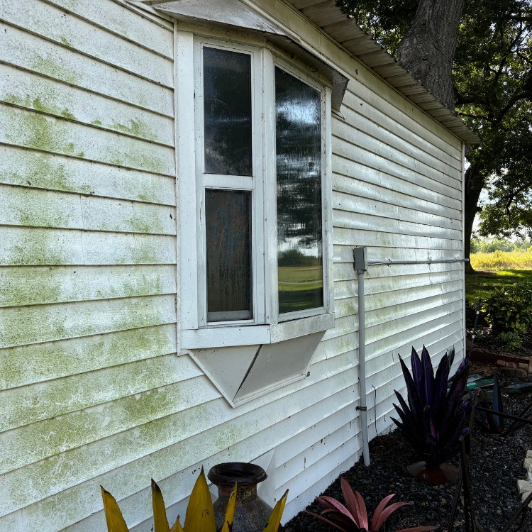 Pressure washing in McKinney, TX Pressure washing in McKinney, TX